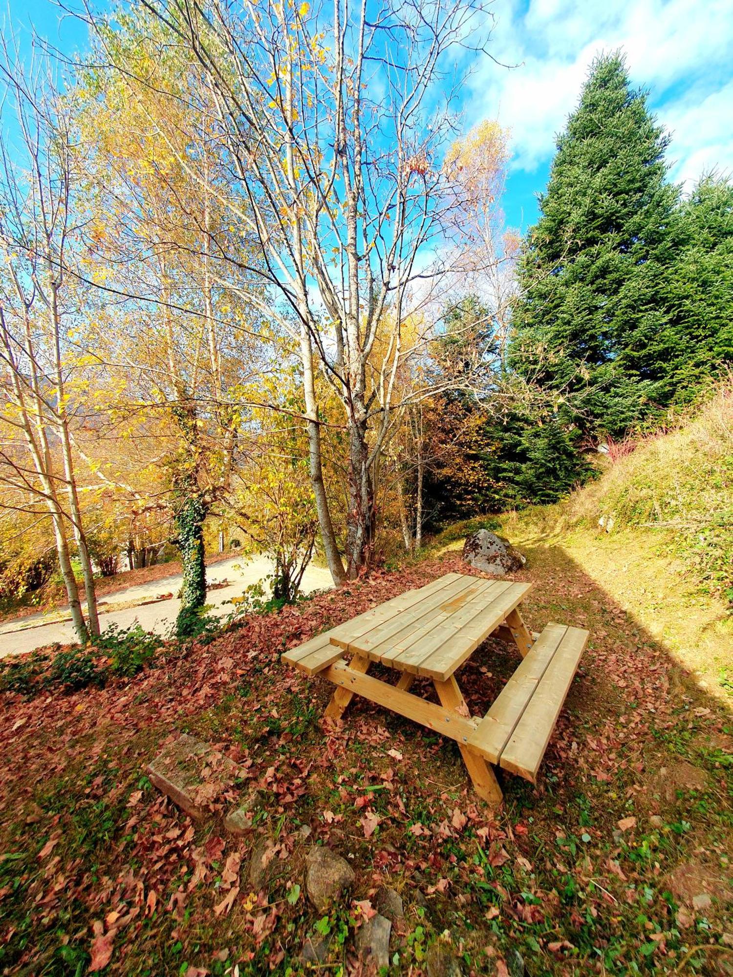 Апартаменти Bienvenue Dans Le Chartreuse 2 A 6 Couchages Cholonge Екстер'єр фото